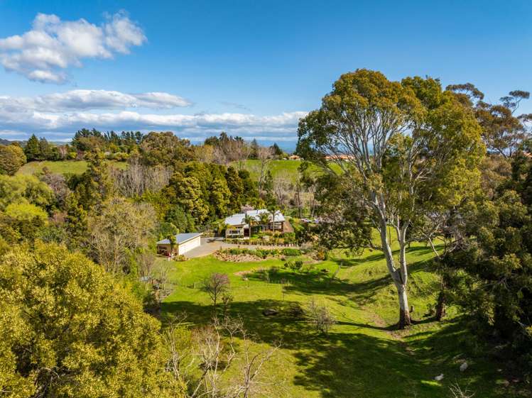 139 Tauroa Road Havelock North_27