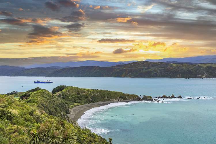 16 Signallers Grove Breaker Bay_1