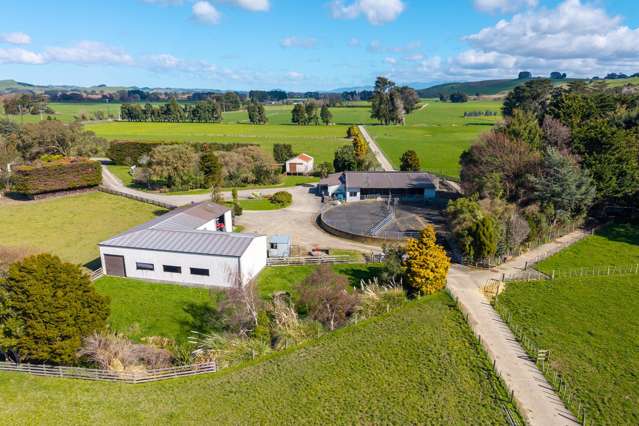 493 Scarborough Road Pahiatua_3