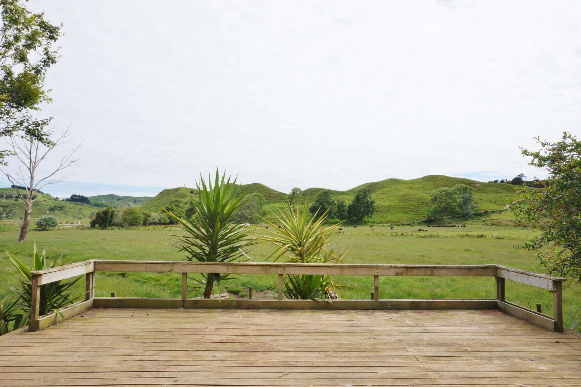 589 Te Akau South Road Te Akau_0