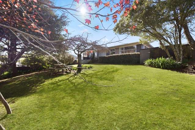 100 Storey Avenue Forest Lake_2