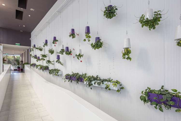 802/10 Waterloo Quadrant Auckland Central_7