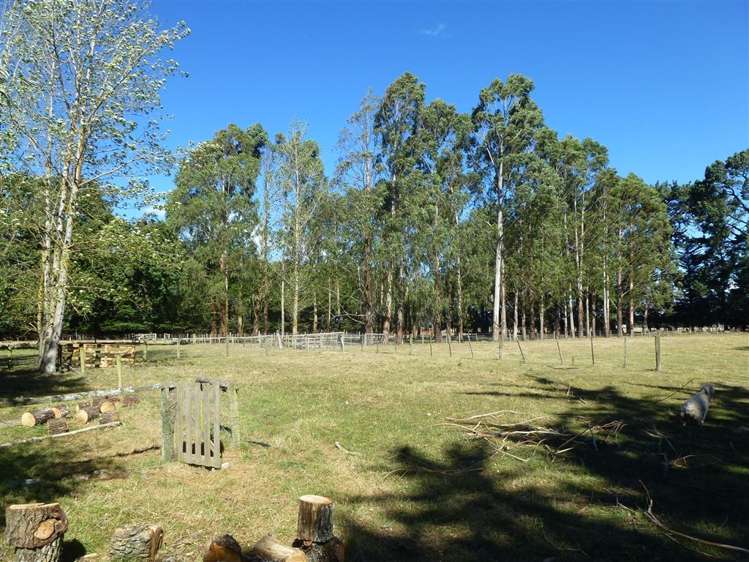 261 Oxford Road Fernside_28