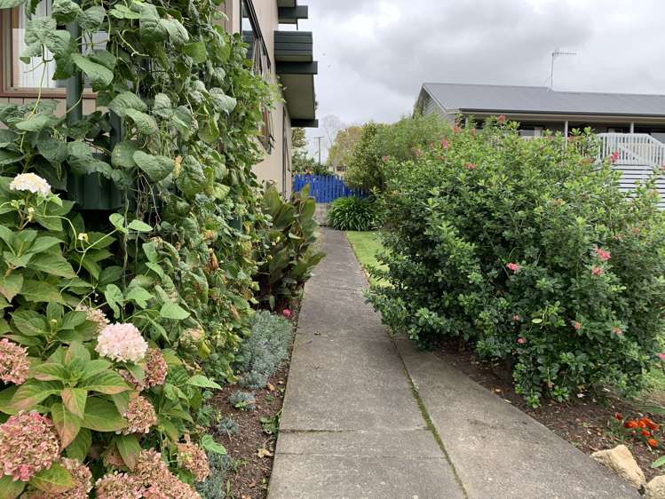 62b Abbotsford Road Waipawa_21