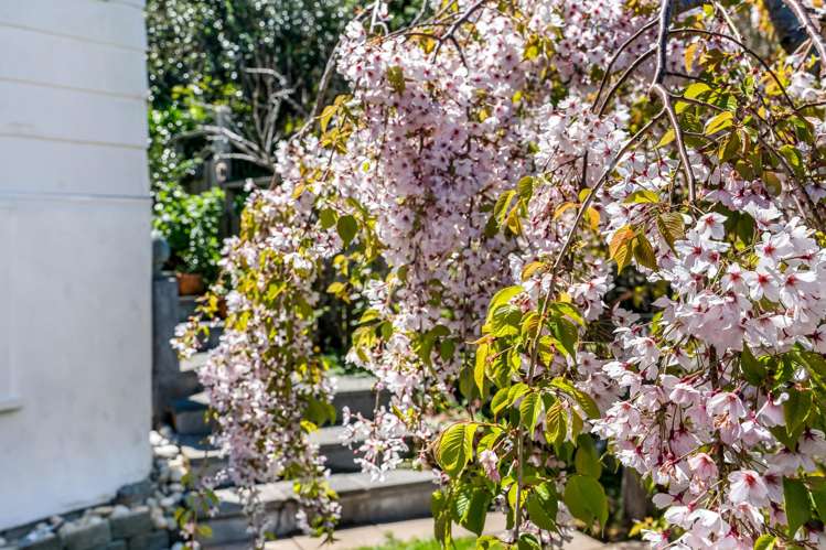 24 Shoebridge Crescent Ngunguru_23
