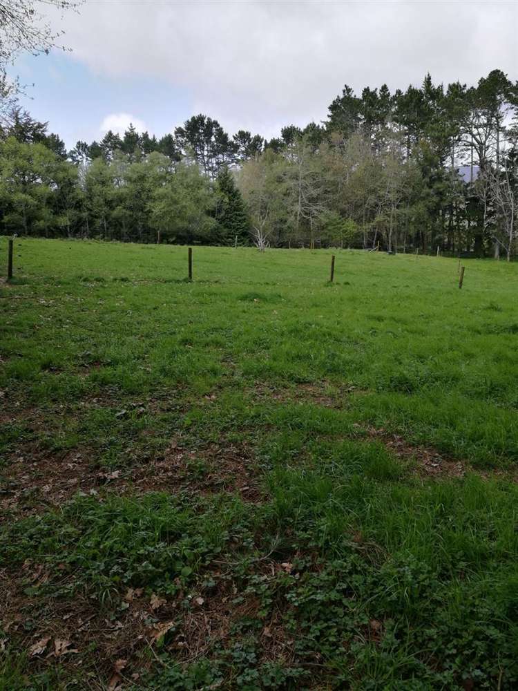 133 Bradford Street Waihi_9