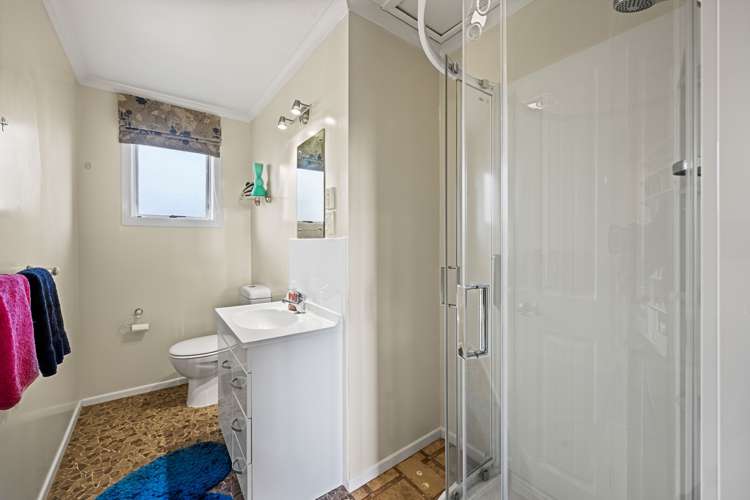 15 Pukatea Street Inglewood_13