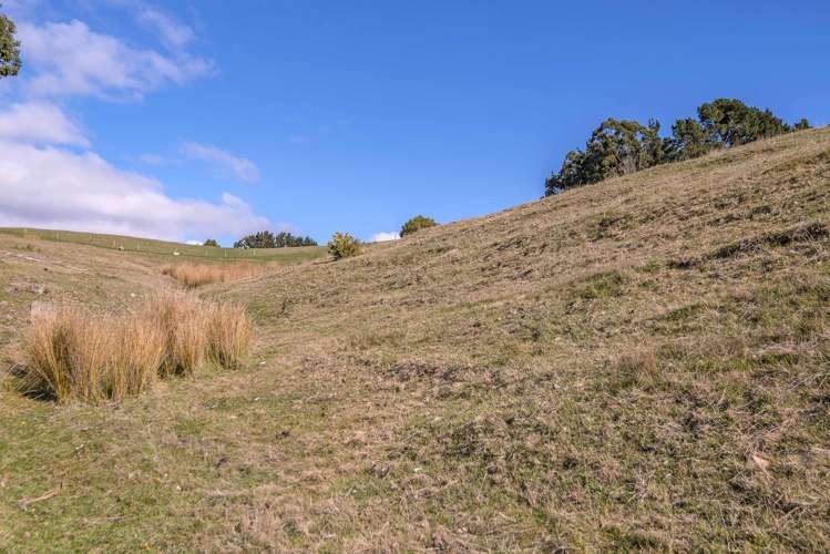 306 Bayview Road Diamond Harbour_7