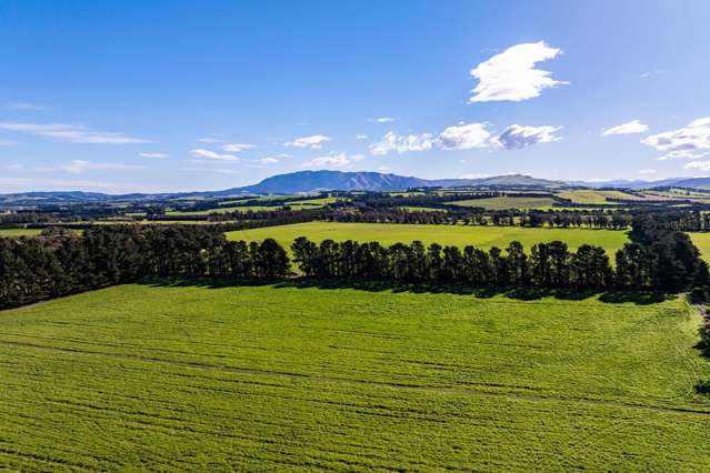 381 Georges Road Waipara_4