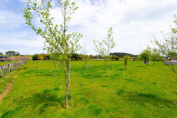 20 Nicholson Drive Kaitoke_25