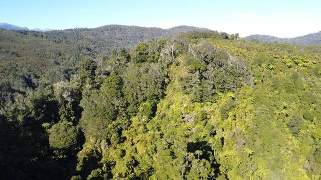 844 Nikau Road, State Highway 67 Mokihinui_2