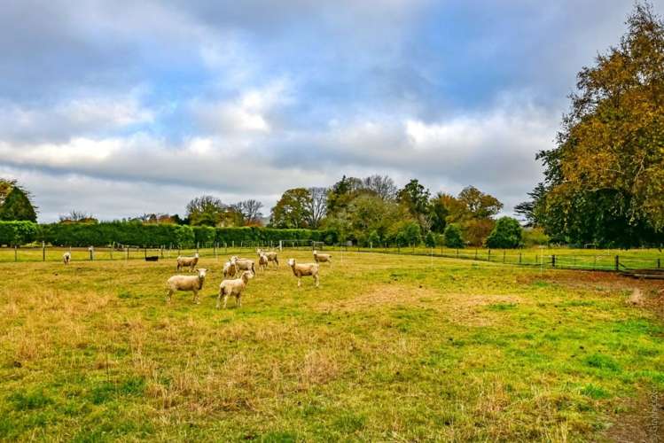 14 Mckenzie Avenue Southbridge_26