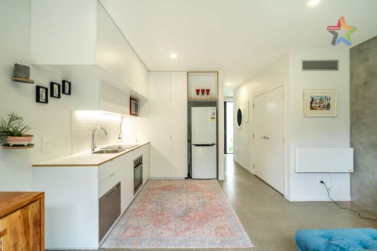 15 Te Ara O Paetutu Petone_6