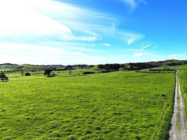 Lot 5 Greenhill Road Ruawai_2