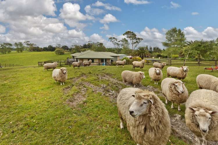 9 Wilks Road Dairy Flat_12