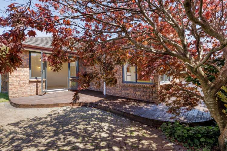 41 Pyes Pa Road Pyes Pa_7