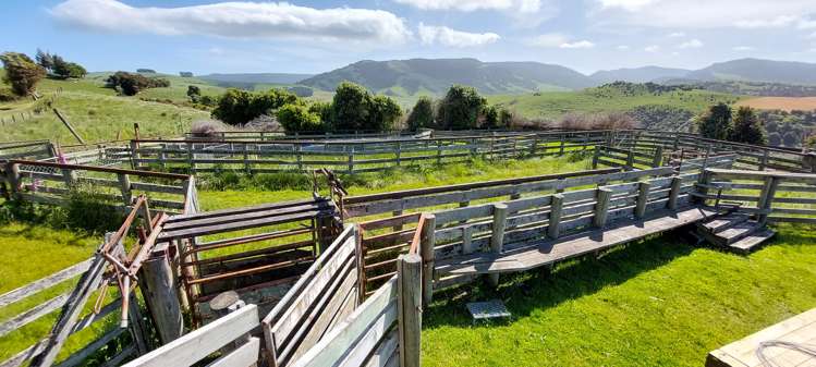 1777 Papatowai Highway Papatowai/Pounawea_9