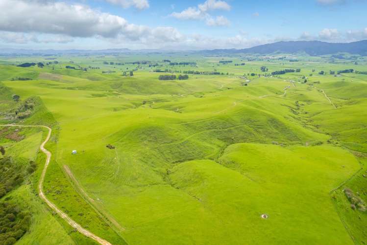 740D Tainui Road Hoe-o-tainui_19