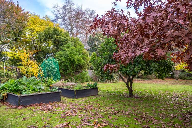 55 College Street Masterton_17