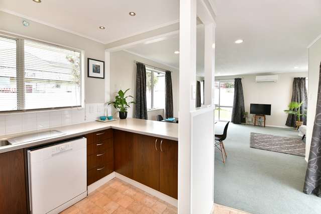1/17 Athena Drive Totara Vale_3