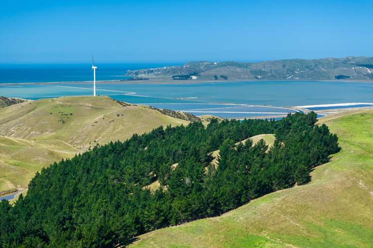 363 Caseys Road Blind River_26