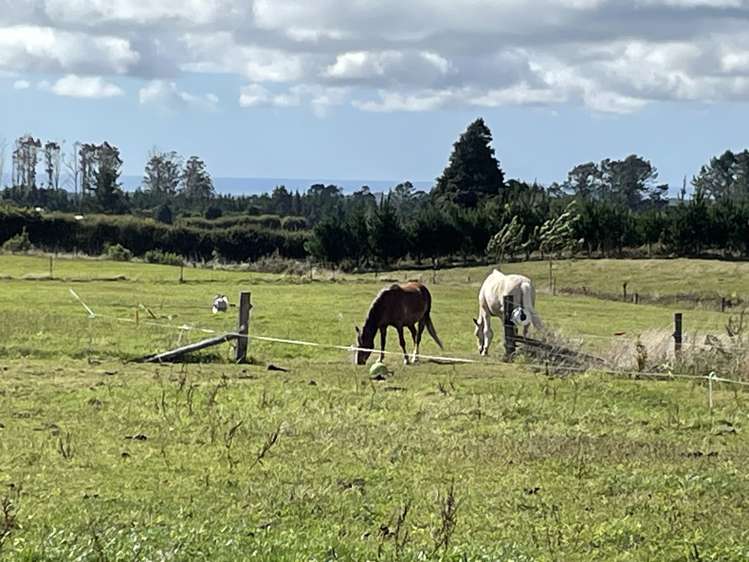70 Peters Road Kaimiro_16