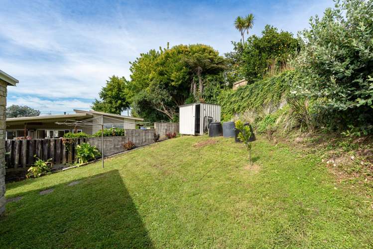 5B Caernarvon Street Dinsdale_11