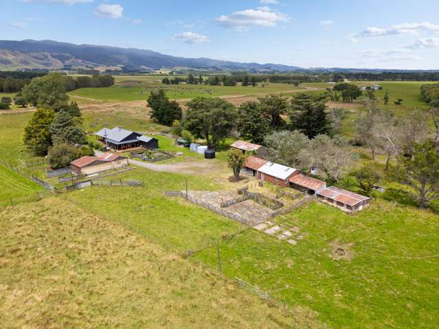 1766 Kahutara Road Kahutara_1