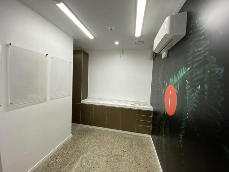 25 Ward Street Hamilton City Central_4