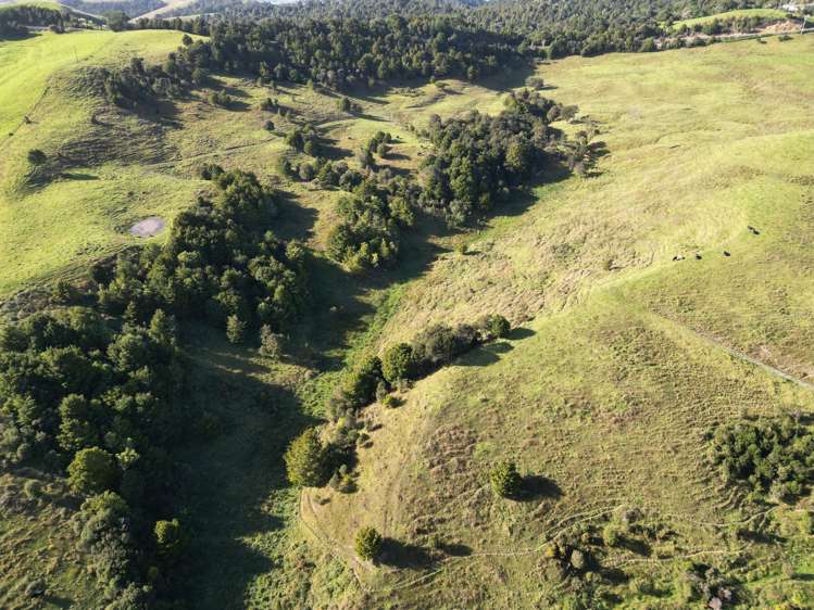 583 Lusk Road Ruawai_11