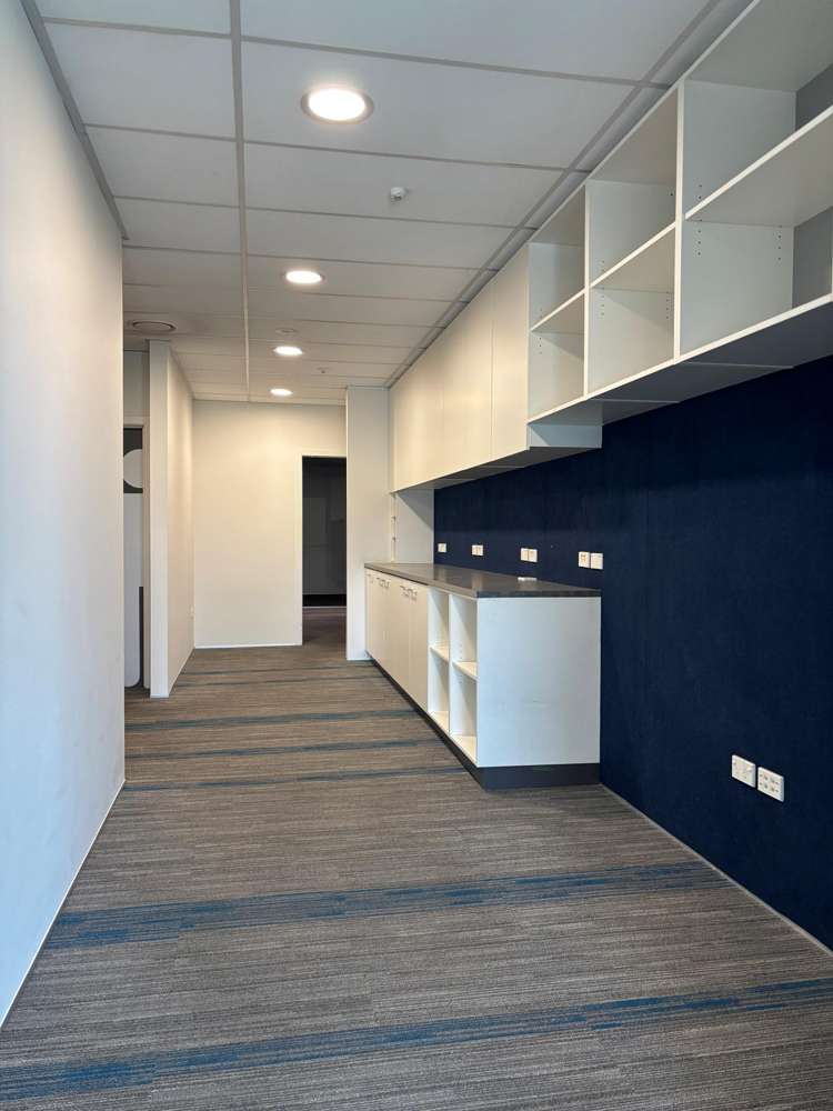 166 Moorhouse Avenue Sydenham_8