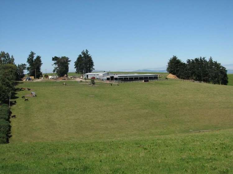 1463 Tuapeka West Road Lawrence_9