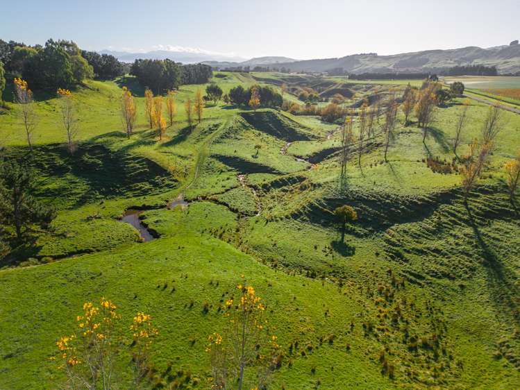 Lot 25 & 36/- Te Muna Road Martinborough_10