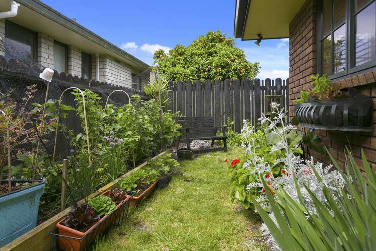 13 Constance Place Cambridge_13