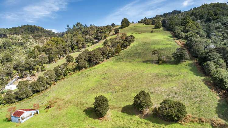 55 Russell Road Kensington_11