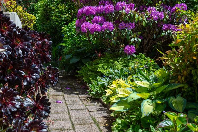 6 Gillam Crescent Springfield_38