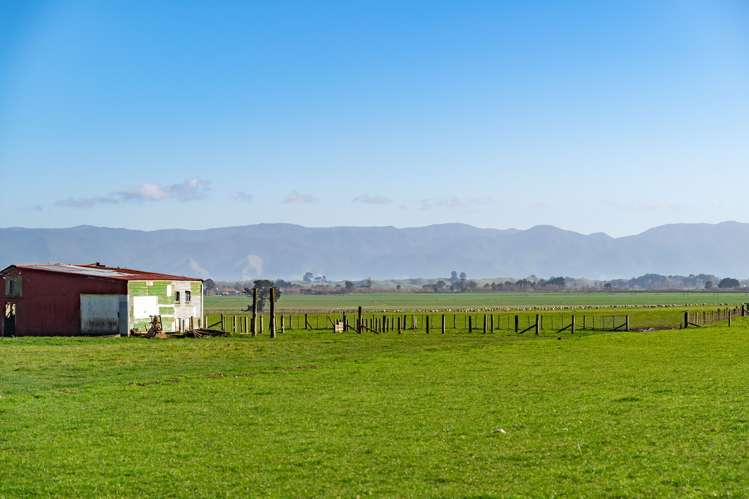 Lake Ferry Road, Dyerville Martinborough_9