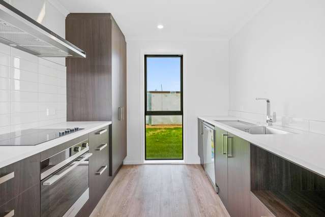 109 Hinemoa Street Levin_2