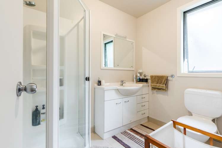 19a Arran Street Avondale_13