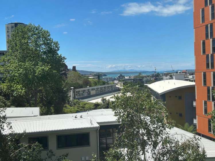 4b/2 Whitaker Place Grafton_6