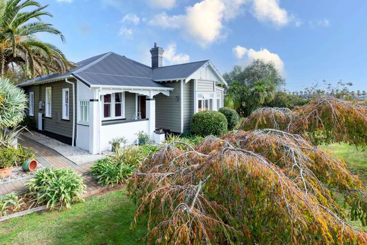 228 Patumahoe Road Patumahoe_33