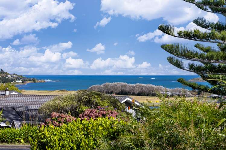 31 Norrie Avenue Raglan_32