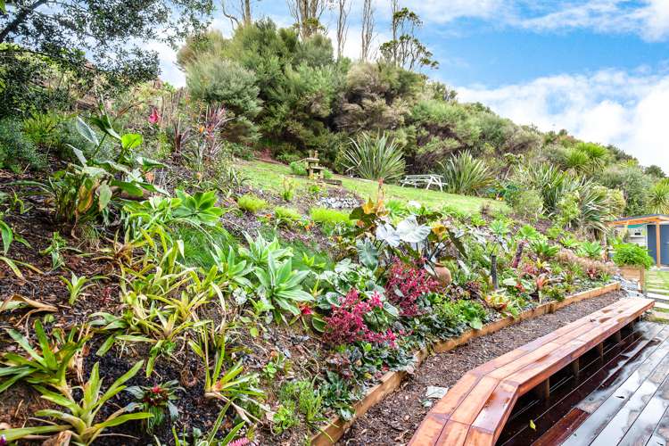 79 Falls Road Warkworth_12