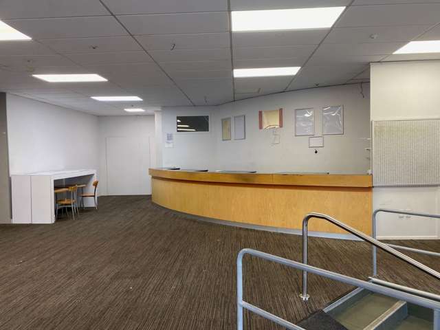 227 Riddiford Street Newtown_2