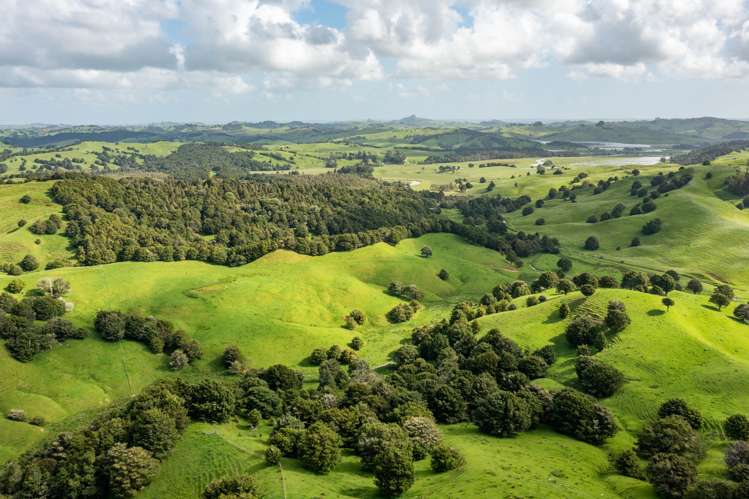 Mangarata Block Road (63.23 ha) Tangiteroria_19