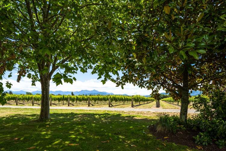 174 Dog Point Road Hawkesbury_21