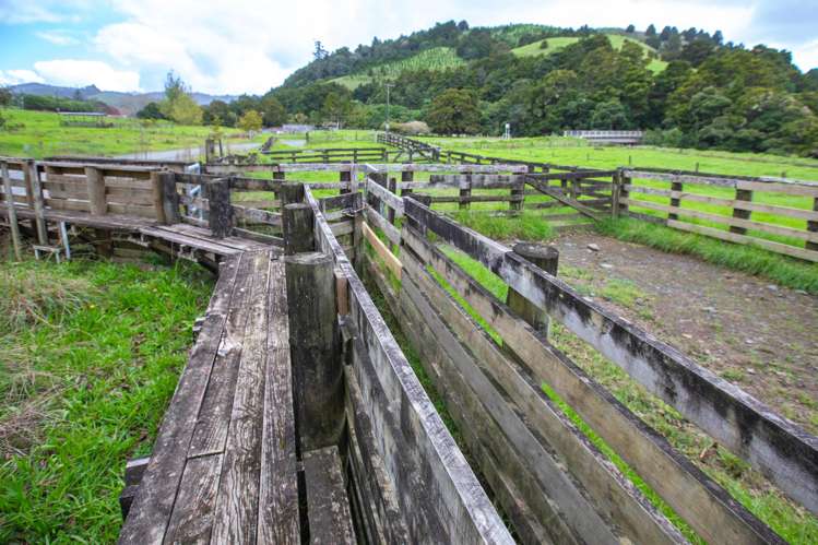 30C Te Ranga Road Kaeo_41