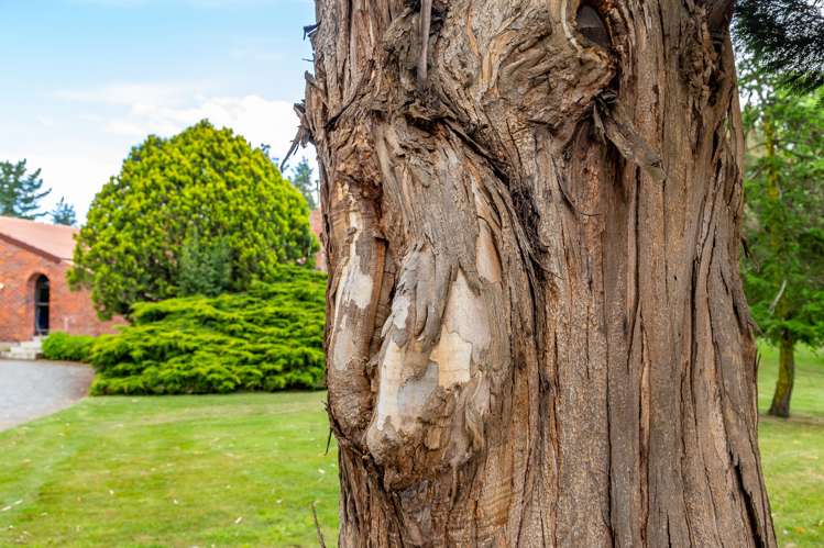 113 Lawford Road West Melton_33