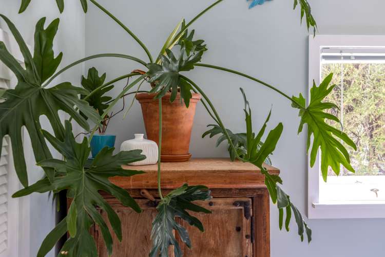 5 Manuka Road Oneroa_13