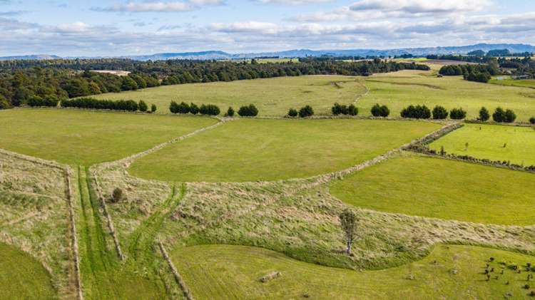 6 Horopito Heights Raetihi_6